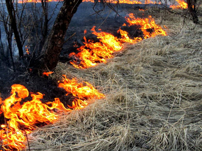 Забайкальские власти уже в феврале возобновят подготовку к пожароопасному сезону