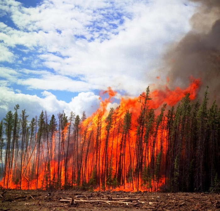 Забайкалью спрогнозировали риск ЧС в октябре из-за лесных пожаров