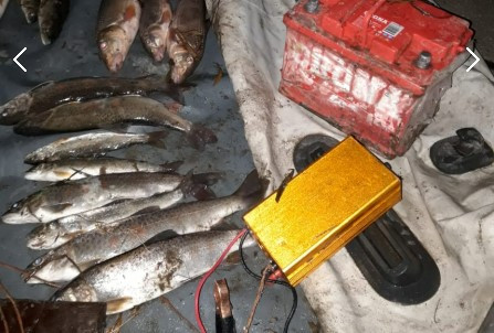 Забайкальцы могут лишиться свободы на 5 лет за рыбалку электроудочкой