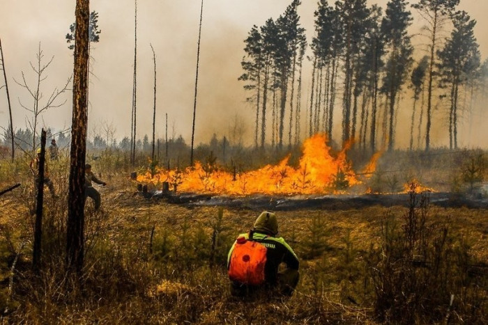 Гурулёв рассказал о подготовке к пожароопасному сезону в Забайкалье