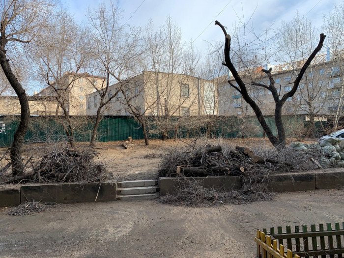 Деревья варварски обрезали на улице Нагорная, 85а, в Чите - очевидец