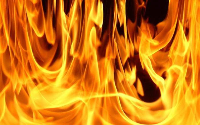 Шесть лесных пожаров действуют в Забайкалье на 23 апреля
