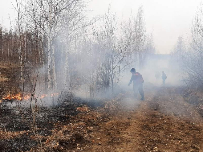 Лесной пожар возник недалеко от села Преображенка Забайкальского края
