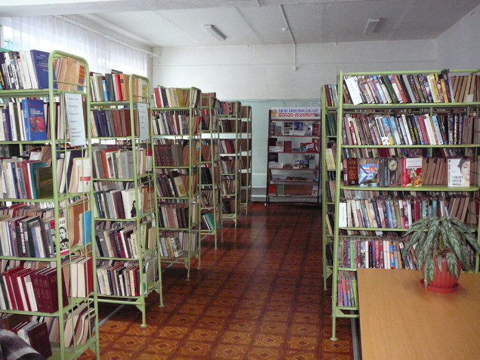 Ещё три модельные библиотеки откроют в Забайкалье в 2021 г.