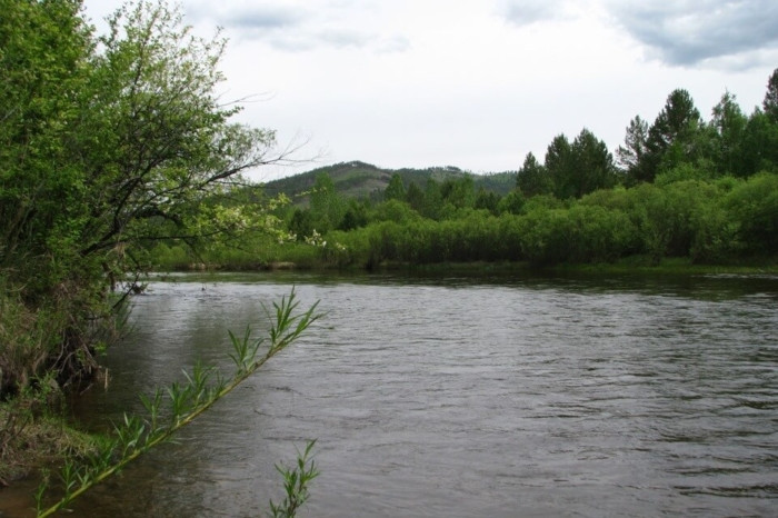 Вода в реке Чара в Забайкалье повысилась почти на метр и достигла опасного уровня