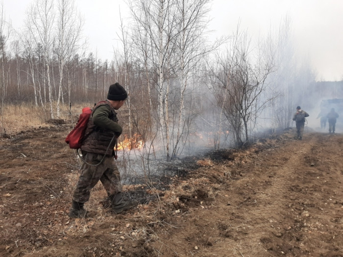 Специалисты потушили пожар в «Цасучейском бору» в Забайкалье