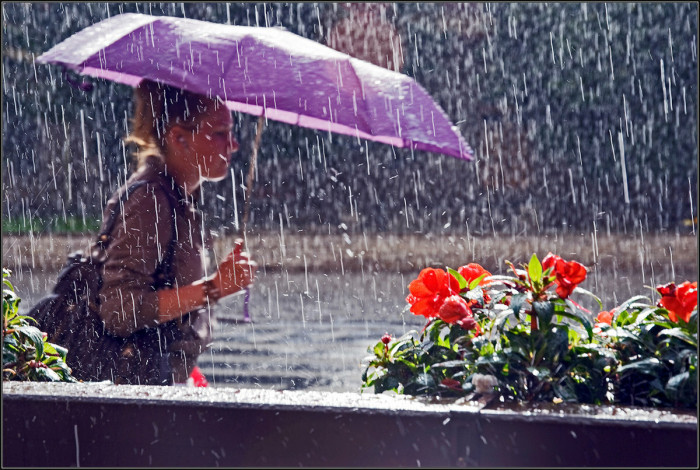Кратковременные дожди и тёплая погода ожидаются 3 июня в Забайкалье