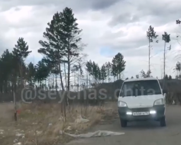 Очевидцы спугнули мусоривших рядом с бывшей военной частью мужчин в Забайкальске