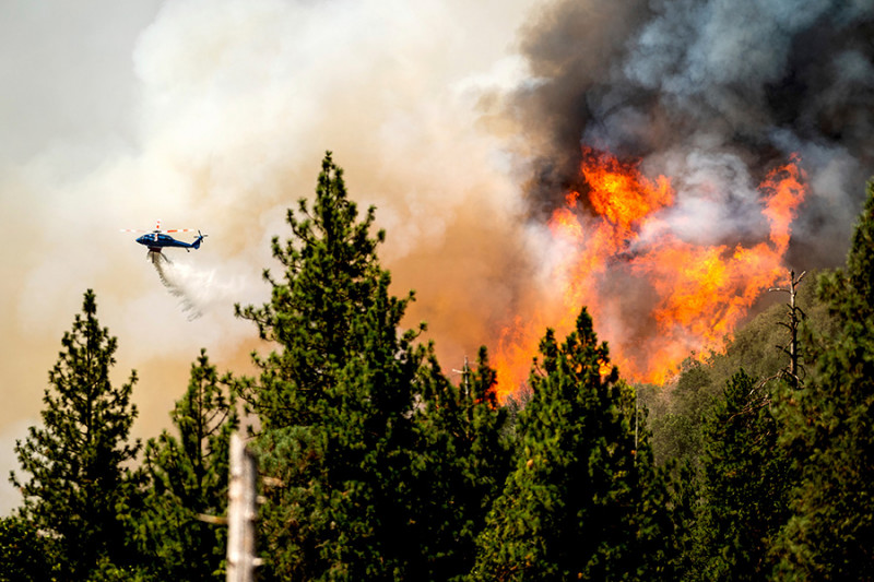 Число пожаров в Забайкалье уменьшилось в 2 раза в 2022 году
