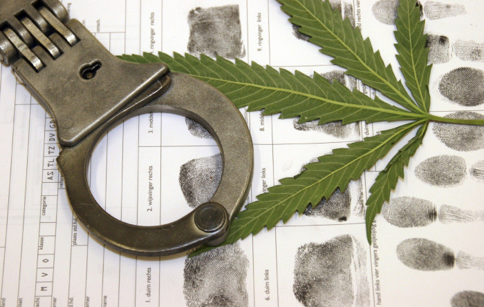 Житель Приаргунского района получит срок за незаконный сбор марихуаны