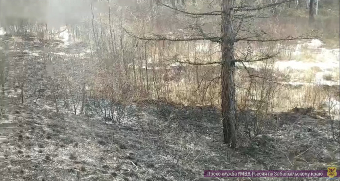 Житель Бурятии по неосторожности сжёг 4 гектара леса в Забайкалье