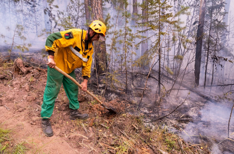 Авиалесоохрана спрогнозировала уровень пожарной опасности в лесах России в мае 2023 года