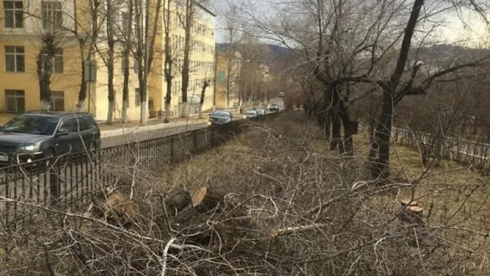 Общественники не видят смысла в расширении дороги на ул. Горького в Чите