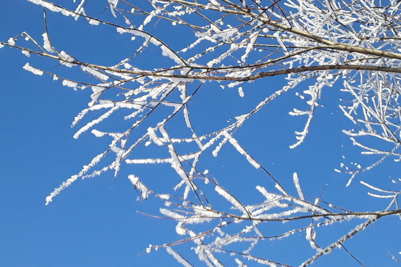 Морозы до 40 градусов сохранятся в Забайкалье 25 декабря