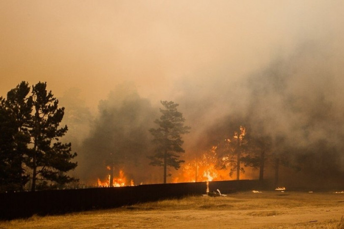 Площадь лесных пожаров в Забайкалье сократилась с 20 до 6 тыс. га