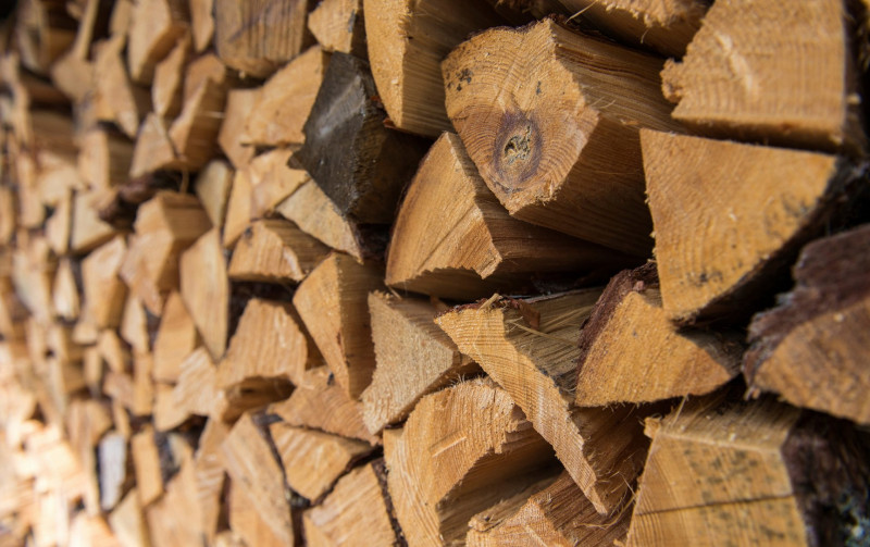 «Забайкаллесхоз» возобновит поставку дров для граждан, коррупцию не нашли