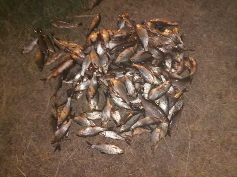 Браконьеры наловили рыбы на 350 тысяч рублей в Ивано-Арахлейском парке Забайкалья