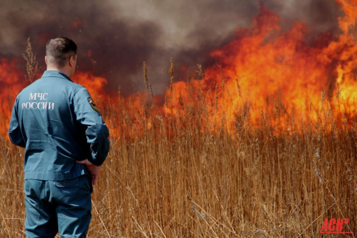 77 лесных поджигателей поймали с начала пожароопасного сезона в Забайкалье