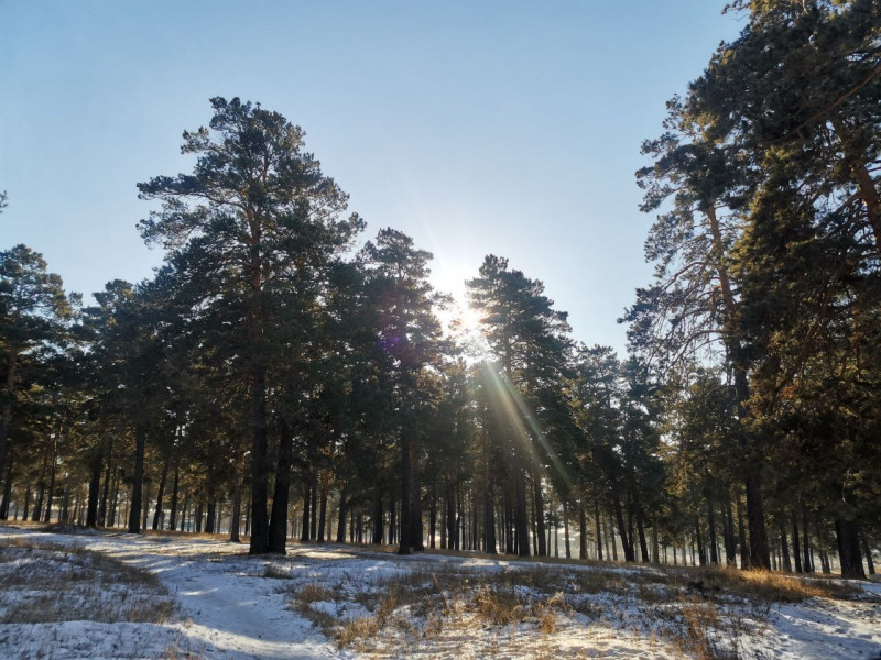 Заморозки в Забайкалье сменятся потеплением – погода на февраль
