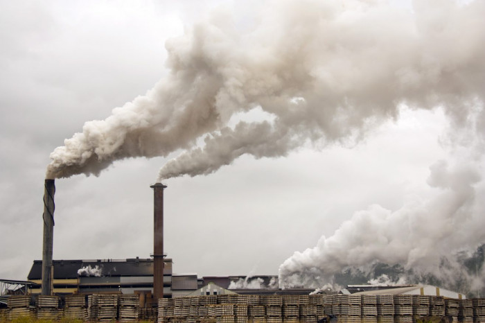 Проект «Чистый воздух» не получил 930 млн руб. из-за COVID в Забайкалье