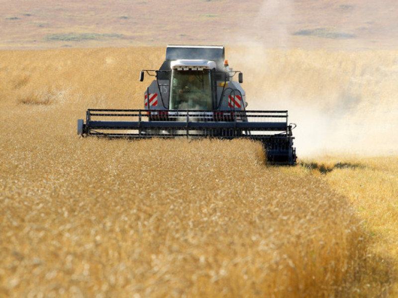 Сельскохозяйственные кредитные кооперативы Забайкалья выдали 761 млн руб. фермерам за год