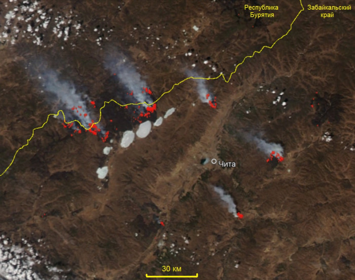 Гринпис сообщил о занижении реальной площади лесных пожаров в Забайкалье