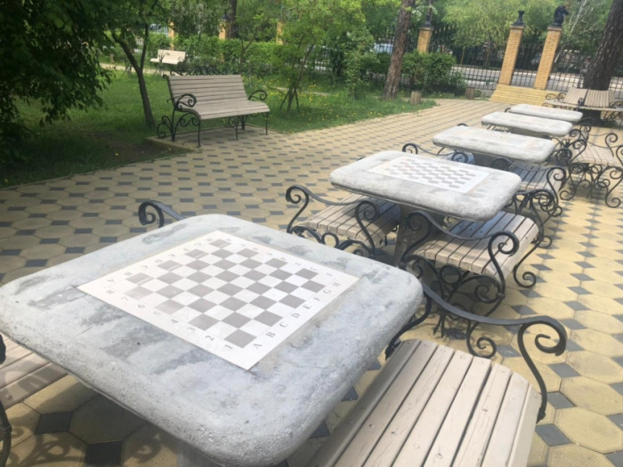Летний шахматный проект запустят в Чите 12 июня