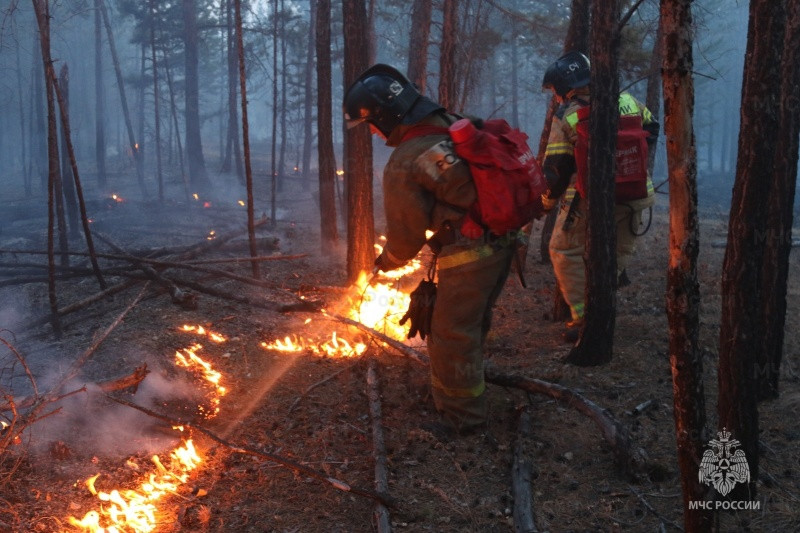 Лесной пожар, возникший из-за окурка, тушат в Забайкалье. Его площадь уже достигла 10 гектаров