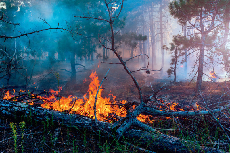 Первый лесной пожар 2022 года зарегистрировали в Забайкалье